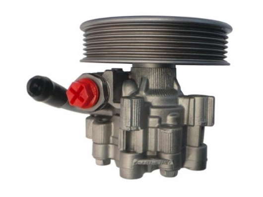  Bomba da Direção hidrâulica assistida Chevrolet Captiva II SUV (C140) (2011 - 2026) II