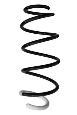991311 Sachs Mola dianteira