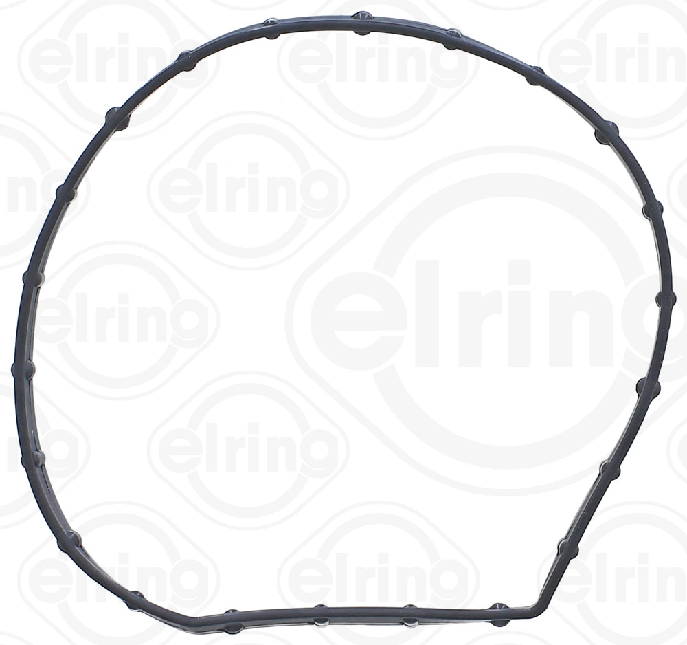 558280 Elring Vedante de bomba de água