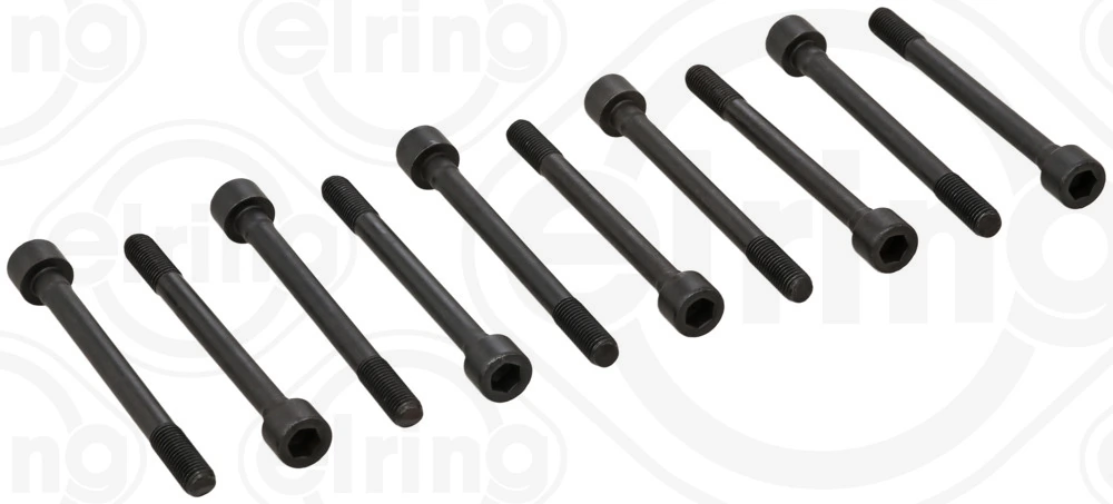 710020 Elring
