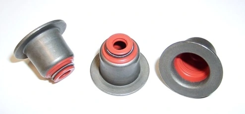 para BMW 5 (F10)