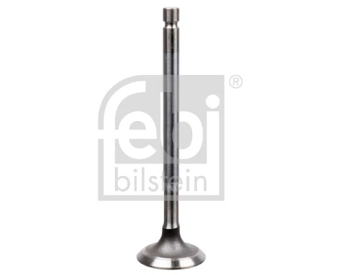 22064 Febi