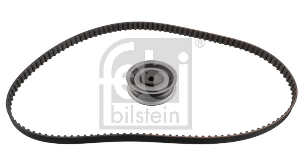 Correia do mecanismo de distribuição de gás, kit Hyundai/Kia 530000110
