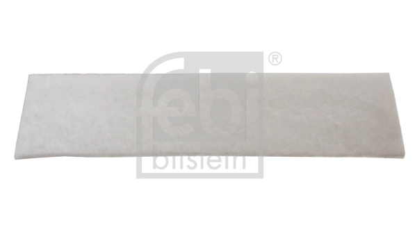 29815 Febi