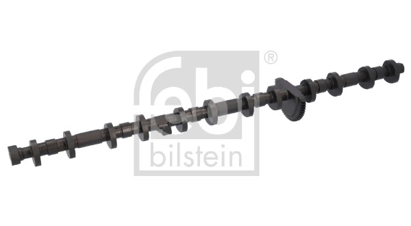 184958 Febi Eixo excêntrico, valvetronic