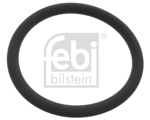48765 Febi