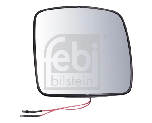 100911 Febi