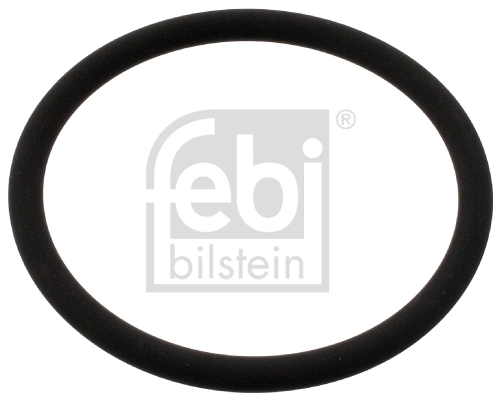 45546 Febi