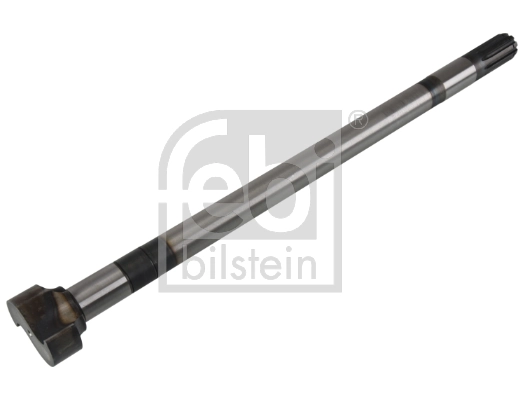 172526 Febi 