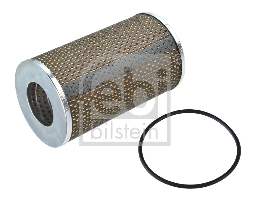 Compre 3100697M1 Massey Ferguson Filtro de óleo
