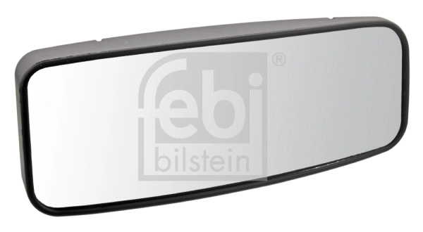 49953 Febi
