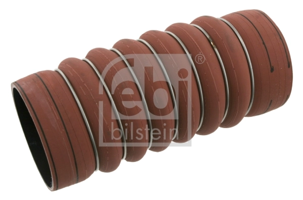 Compre 1813208 DAF Mangueira (cano derivado) de intercooler