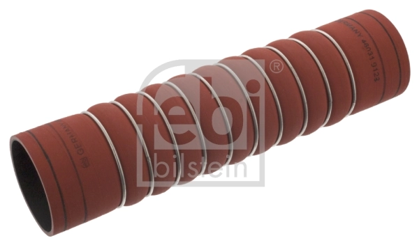 46031 Febi