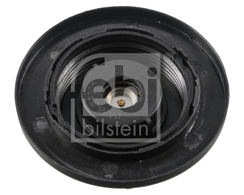 Compre Tampa (tampão) do tanque de expansão Land Rover Range Rover 3