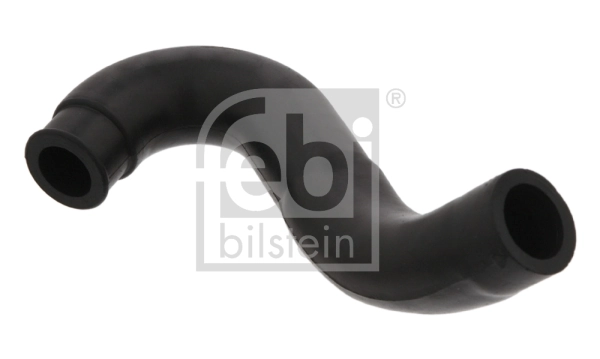 33866 Febi