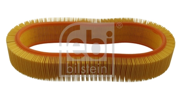 31445 Febi