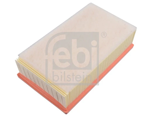 165466515R Renault (RVI) Filtro de ar
