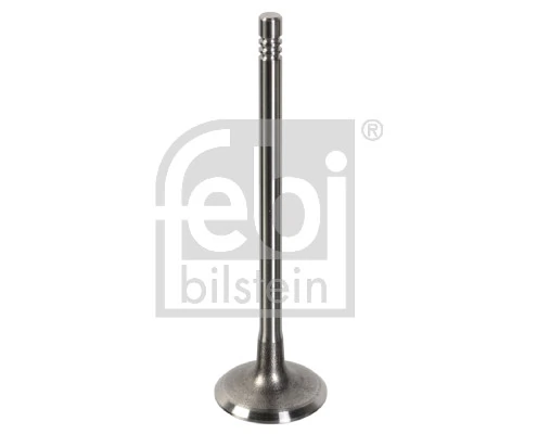 181647 Febi