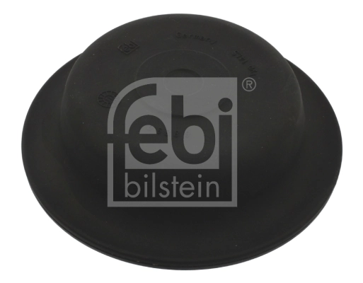 06889 Febi