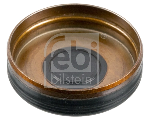Tampão CBC/do bloco de cilindros para Mercedes E  S213