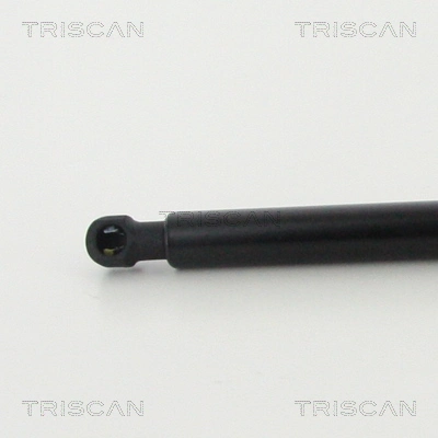 Amortecedor de tampa de porta-malas (de 3ª/5ª porta traseira) Audi TT  FV9, FVR