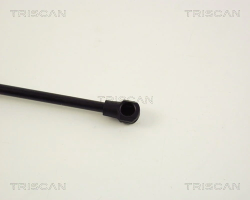 Amortecedor de tampa de porta-malas (de 3ª/5ª porta traseira) 7998 Stabilus
