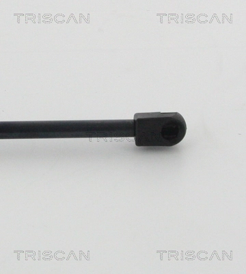  Renault (RVI) 904507914R