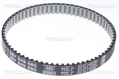Correia dos conjuntos de transmissão para Audi A4 Avant B9 8W5, 8WD