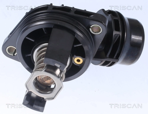55513549 Peugeot/Citroen Termostato