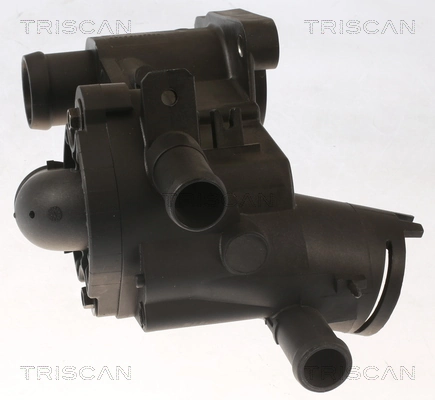 862051787 Triscan Termostato