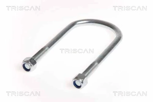 8765100011 Triscan