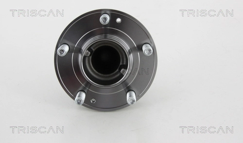  Cubo traseiro Hyundai Santa Fe II SUV (CM) (2006 - 2012) II