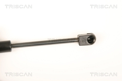 Amortecedor de tampa de porta-malas (de 3ª/5ª porta traseira) para Chrysler 300 C 