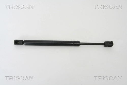 Amortecedor de tampa de porta-malas (de 3ª/5ª porta traseira) Audi A4 B7 8EC