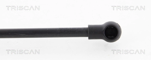 Amortecedor de tampa de porta-malas (de 3ª/5ª porta traseira) 50509830 Peugeot/Citroen