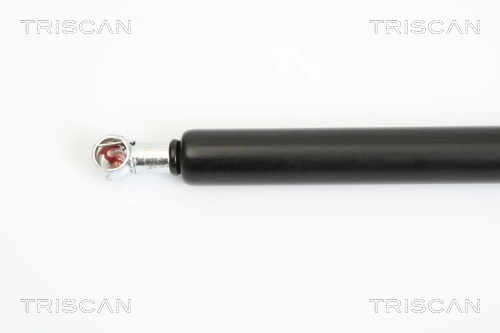 Amortecedor de tampa de porta-malas (de 3ª/5ª porta traseira) Audi TT  8J3