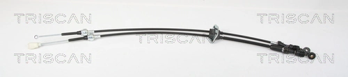 814021706 Triscan