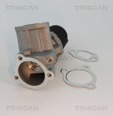 Válvula EGR de recirculação dos gases Peugeot/Citroen 93196799
