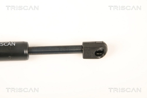  Amortecedor da capota Peugeot 406 coupé (8C) (1997 - 2004) 