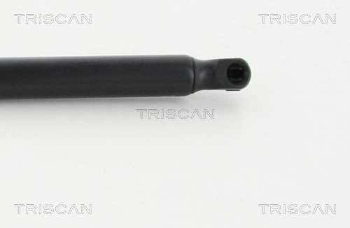Amortecedor de tampa de porta-malas (de 3ª/5ª porta traseira) Ford Escape II DM2