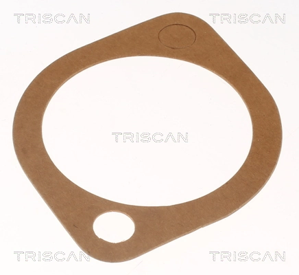 Compre 86205791 Triscan Termostato