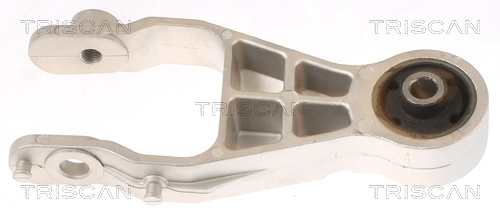 Coxim (suporte) traseiro de motor 684717 General Motors