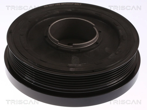 Compre BU3Q6B319AA Peugeot/Citroen Polia de cambota