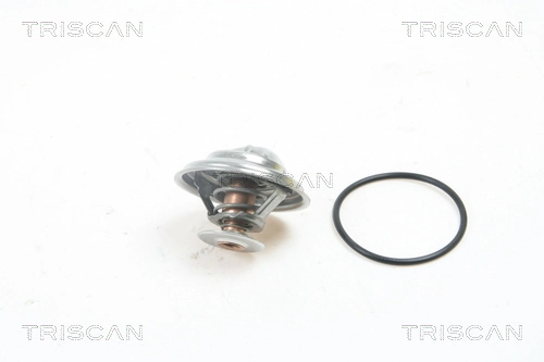 Compre 96005005 Peugeot/Citroen Termostato