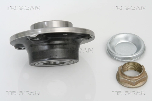 Cubo traseiro 374870 VAG