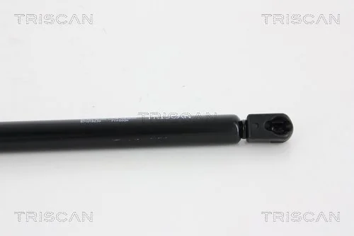 Amortecedor de tampa de porta-malas (de 3ª/5ª porta traseira) Magneti Marelli GS1103