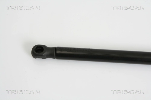 904526114R Renault (RVI) Amortecedor de tampa de porta-malas (de 3ª/5ª porta traseira)
