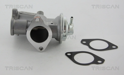 Válvula EGR de recirculação dos gases 98091825 General Motors
