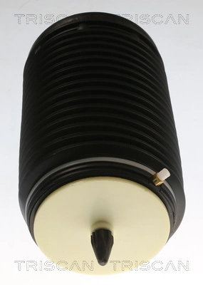 Compre REC60AS0047 Amity AP Coxim pneumático (suspensão de lâminas pneumática) do eixo traseiro