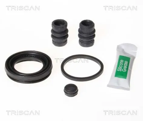 8170203851 Triscan